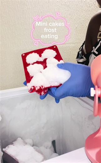Delicious Mini Cakes: Freezer Frost Treats