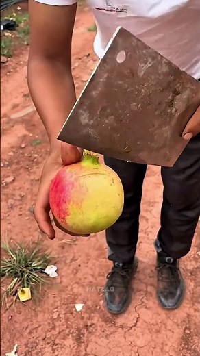 Perfect Pomegranate Peeling - Correct Way To Peel
