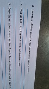 How does cellulose digestion take place in grass-eating animals... | Filo