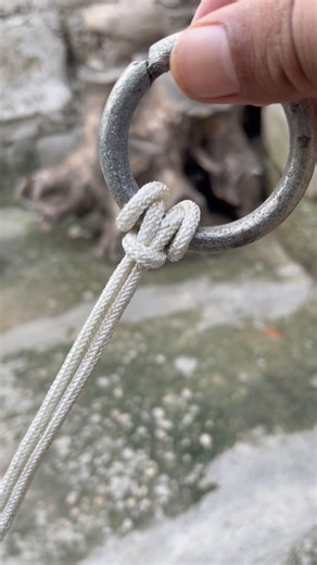 Knot For Ring #shorts #knot