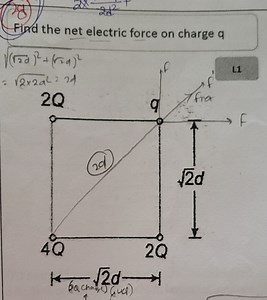 Find the net electric force on charge q... | Filo