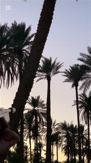 \t•\tBird Hunting with Air Rifle#airrifle#pcp#airgun#shooting