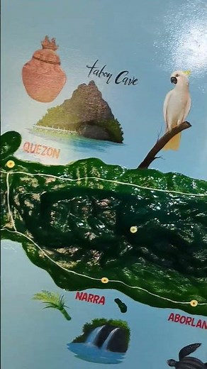 Map of palawan Philippines #amizing