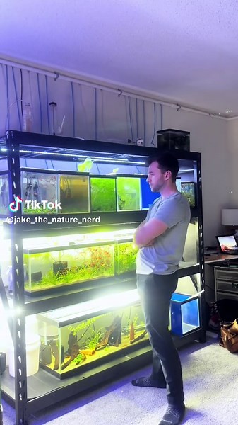 Essential Tips for Aquarium Water Change Maintenance