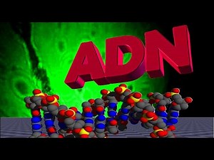 EXTRACCION DE ADN - VER EL ADN