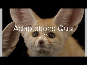 Adaptation Quiz - Part 2
