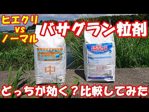 Apply Hieclean and Normal Basagran granules to a field with similar weeds and compare the effects.
