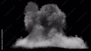 The captivating explosion video commands attention with its energetic display of powerful forces in motion. This alpha channel footage captures the intense and dynamic nature of an explosive event.