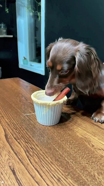 Gaïa (@gaiacrazymonkey)’s videos with Nom Nom Nom Nom Nom Nom Nom - Parry Gripp