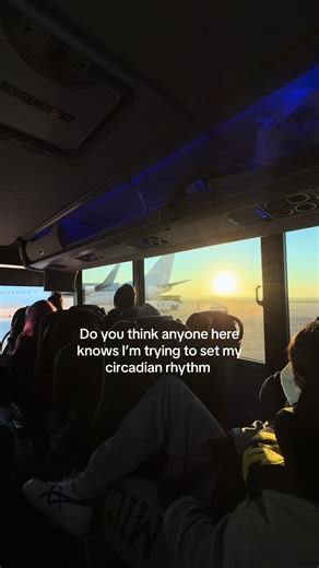 NERVOUS SYSTEM REGULATION!! No supplements. No biohacks. Just a few minutes of real sunlight (without sunglasses) Getting sunlight in your eyes first thing in the morning helps regulate your circadian rhythm which directly impacts cortisol, melatonin, digestion, energy, and mood This matters even more when traveling when time changes and disrupted routines can throw your body off supportive #nervoussystemregulation #cortisol #circadianrhythm #travelhacks