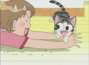 Chi's Sweet Home - Chi's New Address Season 1 | E25 - Chi, Leaves Pawprints