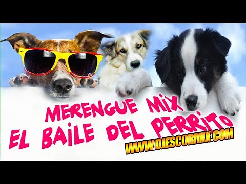 BAILE DEL PERRITO MIX (DJ ESCORMIX)