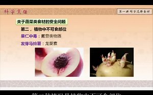 哈尔滨商业大学公开课：科学烹饪