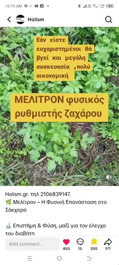 Holism στο TikTok