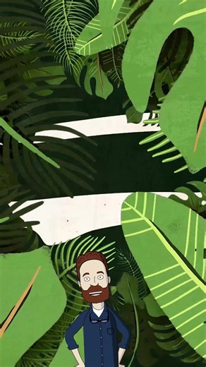 3 Exemples sur la NATURE pour tes disserts de PHILO #philosophie #bacdephilo