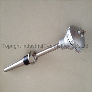 [Hot Item] S Type Ceramic Temperature Transmitter PT100 Sensor Temperature Sensors