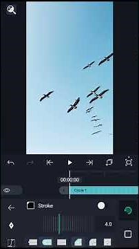 Red Circle Stroke Animation Effect | Photo Highlight Editing Tutorial in Hindi