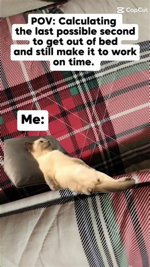 who all hits that alarm clock? #alarmclock #mon-fri #shortsfeed #subscribe #capcut