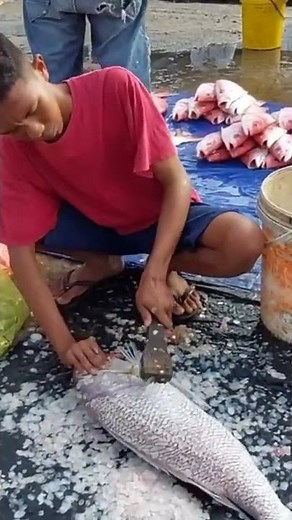 easy way to remove fish scales