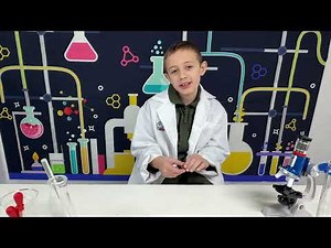 Science for Kids | What is Velocity? Learn with Real Demos