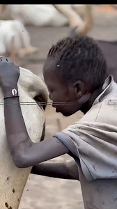 A Remote African Tribe That Eats Animal Dung | Strange World Customs