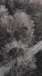 2.2K views · 5.1K reactions | At PARK CENTRAL, let the seasons inspire you, where the ever-changing tapestry of nature unfolds. Discover a vibrant cyclical dance of nature that plays out, with leaves interchanging colors and blooming with life varying beats, moments, moods and pursuits! | Hassan Allam Properties | Facebook