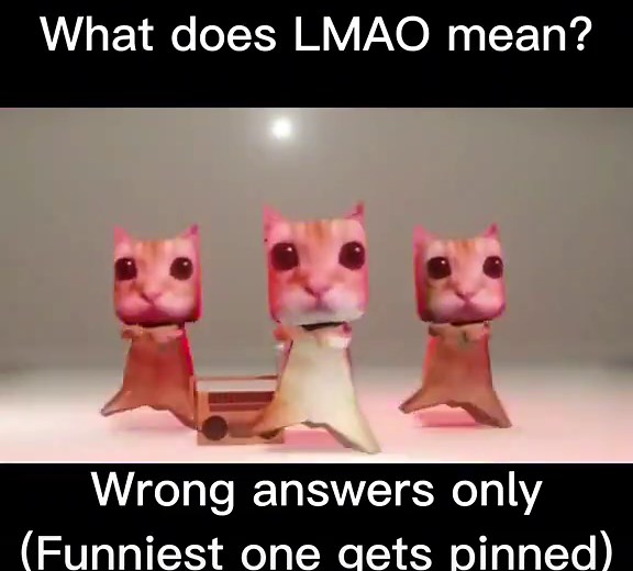 What does LMAO mean? (wrong answer only) #fyo #foryou #viral #blowup #kfc