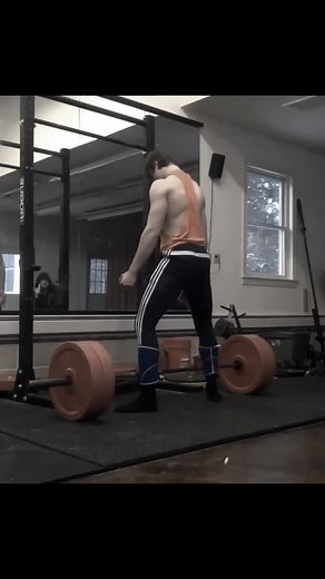 Ultimate Weightlifting Motivation: David Laid's Gym Progress