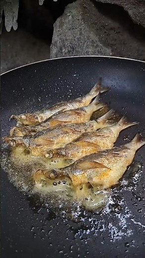 Sardinella Fish Fried (සාලයා) #entertainment #fishfry #wildcooking