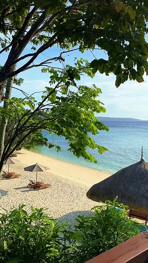 408K views · 6.5K reactions | Indulge your senses with our exquisite food selection. Be pampered by our attentive and welcoming service team and enjoy the ralaxing native-inspired architecture of Maranao restaurant when visiting Pearl Farm Beach Resort. | Pearl Farm Beach Resort | Facebook