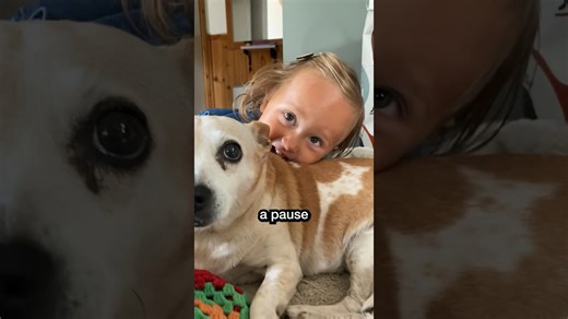 Our Family Dog Returns and Steals the Show