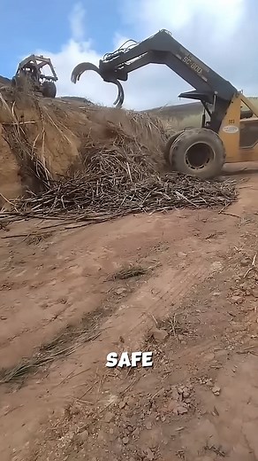 4K views · 12 reactions | Machine working in the sugarcane field #HeavyMachinery #OperatorSkills #ExtremeLoading | Euless Studio | Facebook
