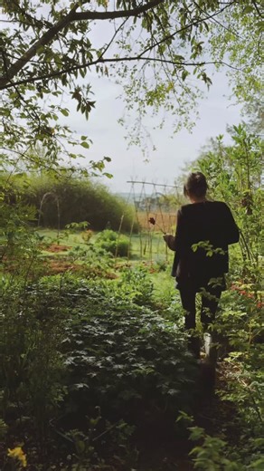 Anna Jackson on Instagram: "I’ve been planting a lot of narcissus bulbs this week and dreaming of sunny spring days, picking flowers. I normally plant about 50–100 each year, but this year it’s closer to 500, as I just love them so much. They’re the perfect flower: they naturalise easily, don’t tend to get eaten by pests, are very resistant to disease, and can potentially flower for hundreds of years! So if you do just one lovely thing in your garden this autumn, plant a few narcissi. You won’t 