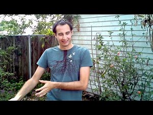 Liquid Dancing Tutorial Lesson 2