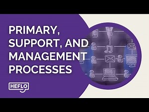 Understanding Primary, Support, and Management Processes in Business