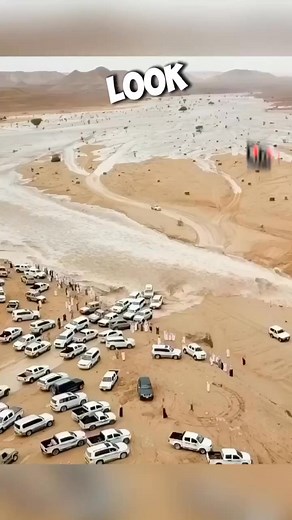 37K views · 28 reactions | This is one of the interesting facts ever #facts #short #viralshort | The Unknown Factz | Facebook