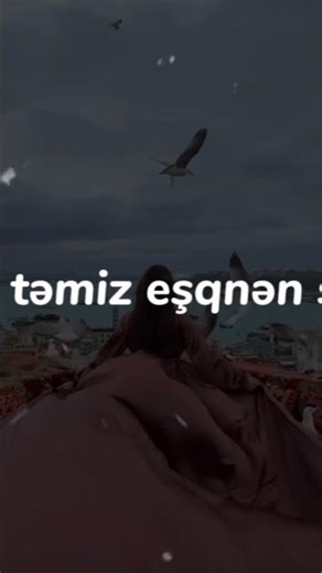 🌹 Whatsapp ucun Maraqli statuslar sevgiye aid video Sounds App 2025 Status ucun video,Menali video