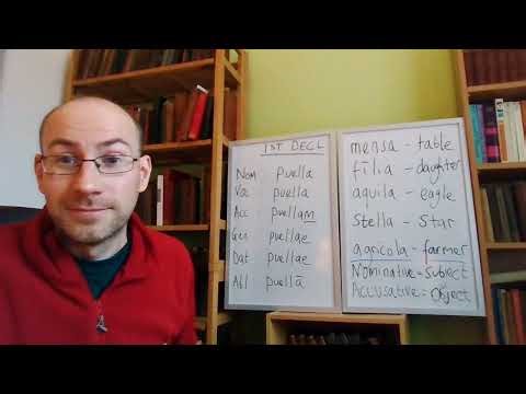 Lesson 1: 1st declension nouns