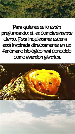 El laberinto del fauno | La ESCENA de la rana está basada en un FENOMENO real