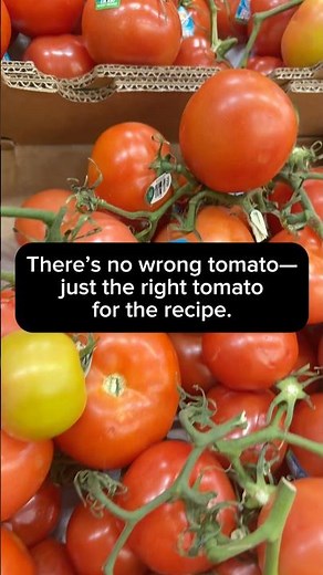 Which Tomato Should You Buy? 🍅 A Quick Guide to Every Variety