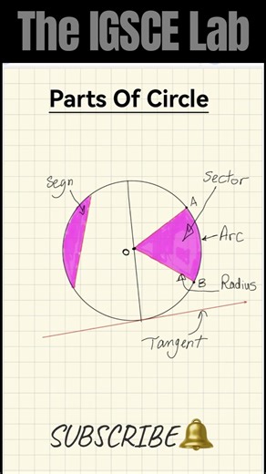 Parts of a Circle Explained in 30 Seconds! ⭕️ #IGCSE #MathTutorial #Circle
