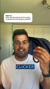 ADVICE: Using Clicker for reactivity 🐾🐕 | Smart Dogs Training #dogbehaviour #dogs #dogtraining