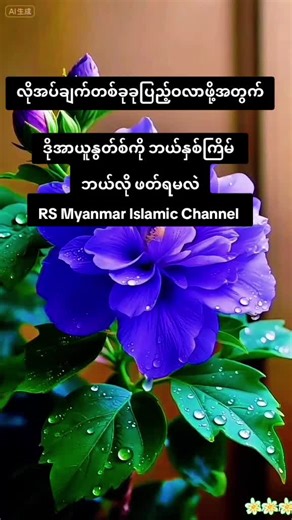 @RS Myanmar Islamic Channel @RS Myanmar Islamic Channel @RS Myanmar Islamic Channel