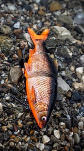 80K views · 607 reactions | So real... It´s "hyper realistic" ️ | Westin-Fishing | Facebook