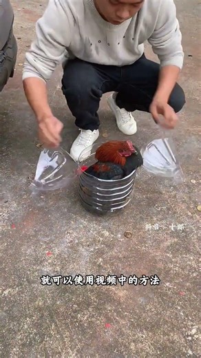 Tools for installing local chickens are necessary for visiting relatives during the Chinese New