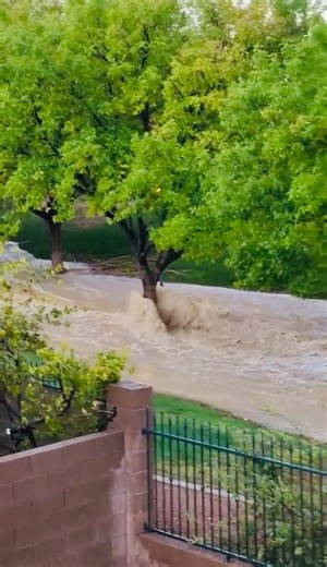 12K views · 240 reactions | RAGING RIVER OF WATER from heavy rain as afternoon thunderstorms enveloped Vegas today. This is normally a dry wash or greenbelt, but looked like a raging river. Some areas received over an inch of rain making it the wettest day in a while.  VIDEO: Christina Gavlak #flashfloodwarning #vegasweather #storm #flooding #Vegas #fyp #foryoupage | Tedd Florendo | Facebook