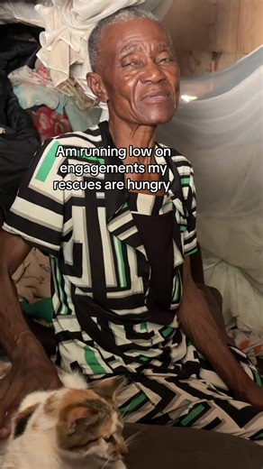 Support Animal Charity for Hungry Rescue Pets