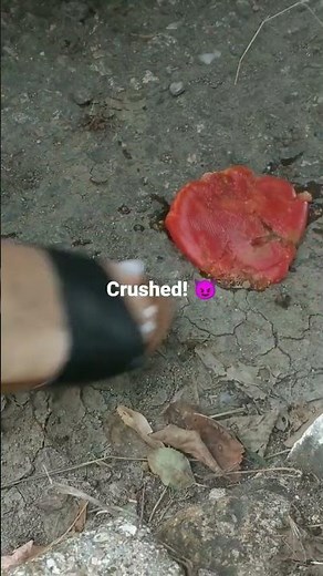 Squashed tomato underfoot 🍅