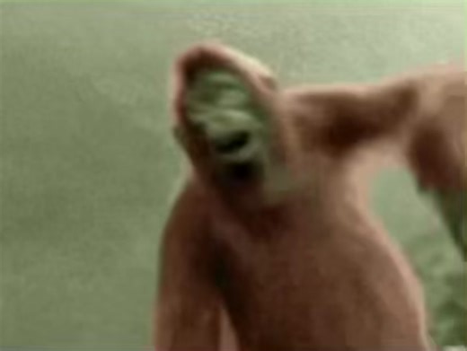 #viral #monkey #fyp #dancingmonkey #meme #gif