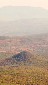 2.5K views · 81 reactions | Malawi's oldest and largest wildlife...